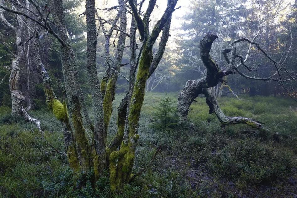 Wellness Pension Iveta Жацлерж Екстер'єр фото