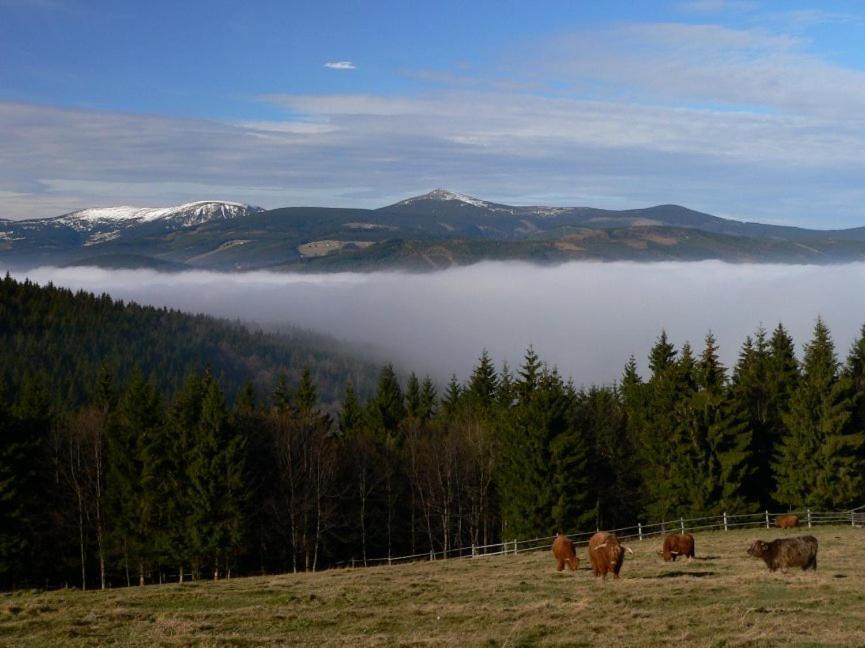 Wellness Pension Iveta Жацлерж Екстер'єр фото
