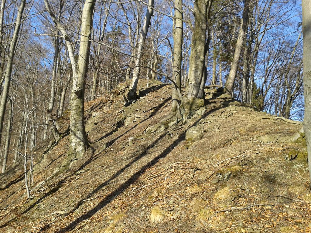 Wellness Pension Iveta Жацлерж Екстер'єр фото