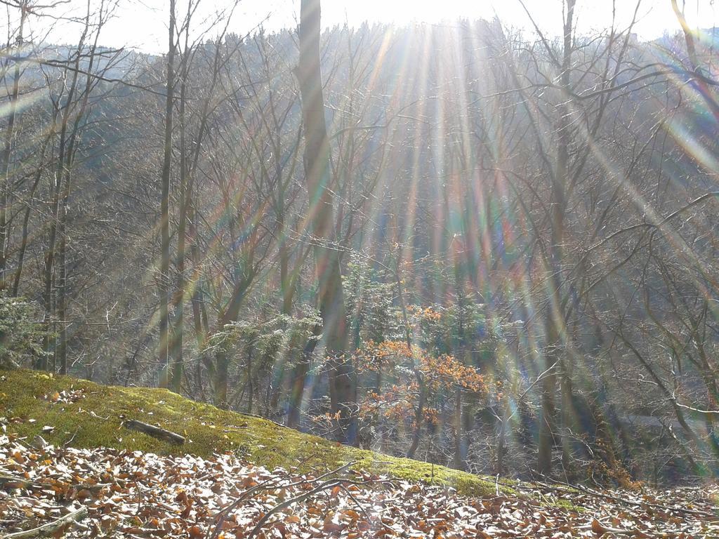 Wellness Pension Iveta Жацлерж Екстер'єр фото